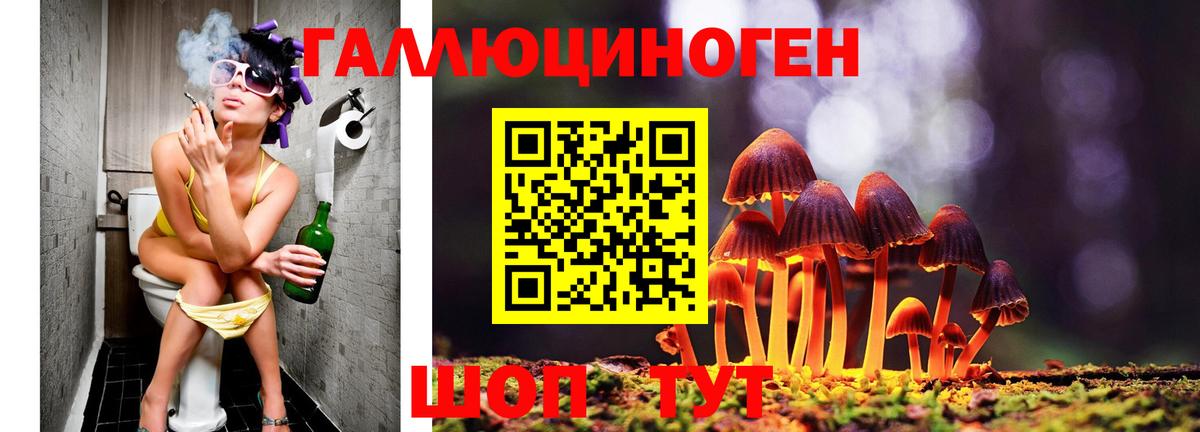 Галлюциногенные грибы Magic Shrooms Химки